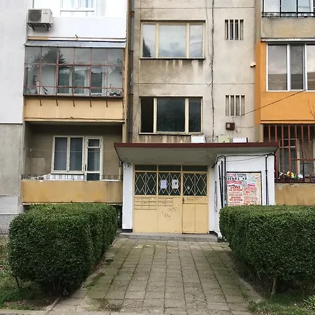 Lecti Sunflats Chaika Varna